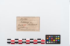 Etikett zu Bronzearmreif (NHMW-PRAE-024533)